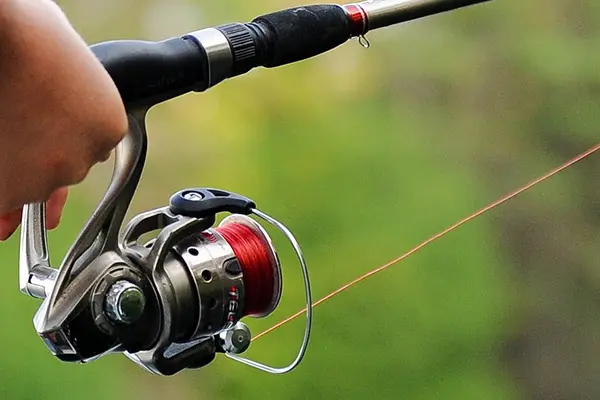 Choosing the Perfect Fishing Line: Considering the Best Options